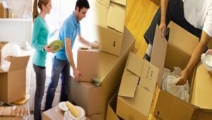 Packers and Movers Manasarovar Thane