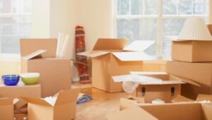 Packers and Movers Nepean Sea Road Mumbai