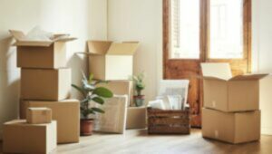 Packers and Movers From Mumbai to Agra