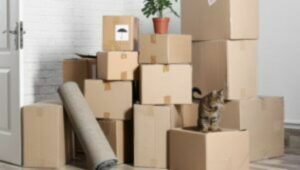 Packers and Movers From Mumbai to Akola