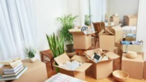 Packers and Movers From Mumbai to Dhanbad