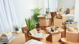 Packers and Movers From Mumbai to Jhansi