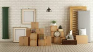 Packers and Movers From Mumbai to Trivandrum